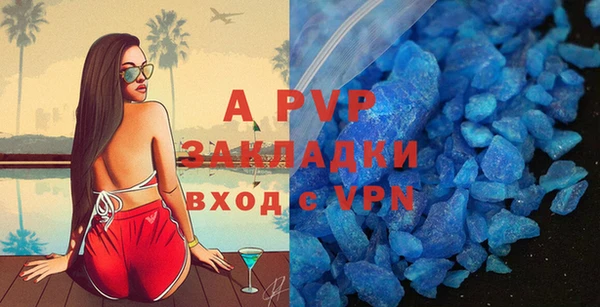 шишки Верхний Тагил