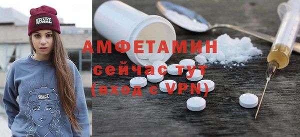 шишки Верхний Тагил