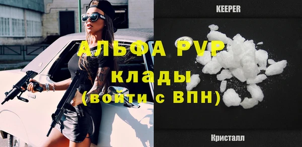 шишки Верхний Тагил