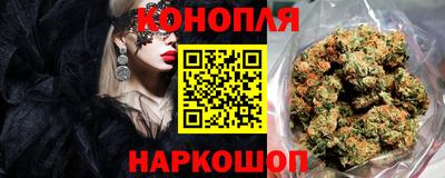 СК Абакан