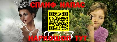 СК Абакан