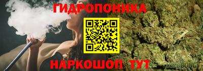 СК Абакан