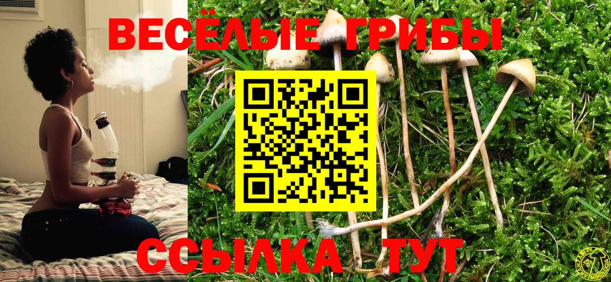 Псилоцибиновые грибы GOLDEN TEACHER Абакан