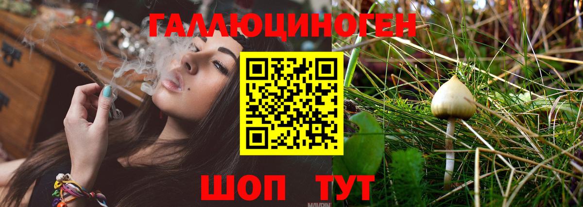 ЭКСТАЗИ Абакан