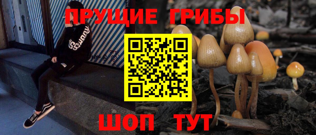 Псилоцибиновые грибы мухоморы  Псилоцибиновые грибы MAGIC MUSHROOMS  Абакан  Вход с VPN 